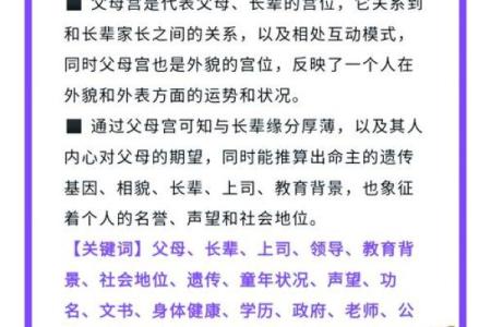 属狗的九四命：探索性格与命运的奥秘