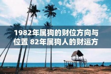 1982年出生的狗：命运与性格的奇妙结合