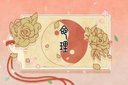 命理解析：丁丑、辛亥、丁巳、甲午四种命运的不同归宿与启示