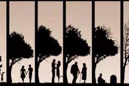 旺夫命：“八字”中的幸福密码，让你的人生璀璨夺目！