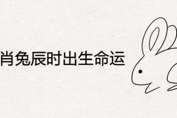 1975年出生的人:性格特征与命运解析 1975年出生的人:性格特征与命运解析