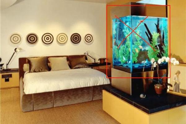 震命鱼缸摆放技巧:让您的家居风水更旺盛,更加和谐! 震命鱼缸摆放技巧:让您的家居风水更旺盛,更加和谐!