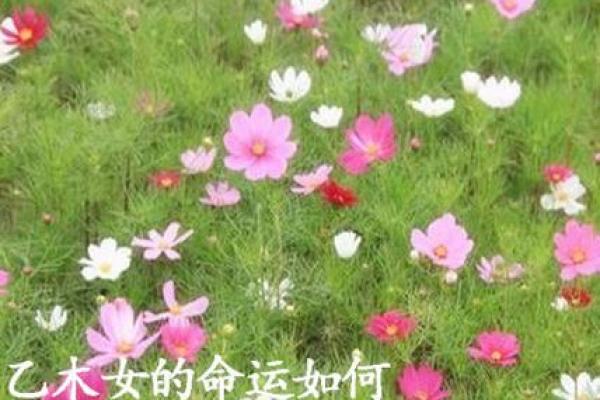 根据生辰八字推算你的命运,揭开生活的秘密! 根据生辰八字推算你的命运,揭开生活的秘密!