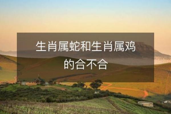 2017年鸡年命理解析:鸡之命与人生启示 2017年鸡年命理解析:鸡之命与人生启示