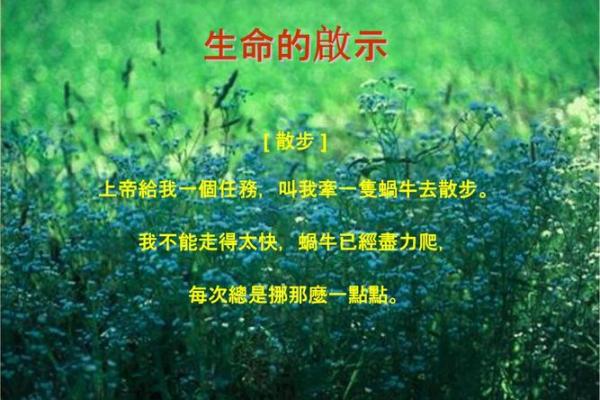 命格32分命硬的深度解析与人生启示 命格32分命硬的深度解析与人生启示