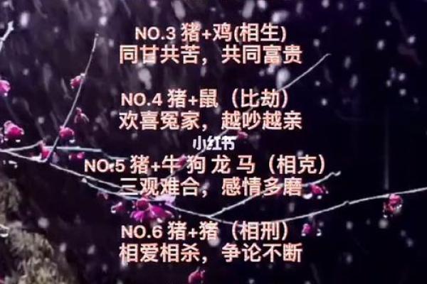 探索猪的命理与相克之道:解读猪的运势与相伴生肖 探索猪的命理与相克之道:解读猪的运势与相伴生肖