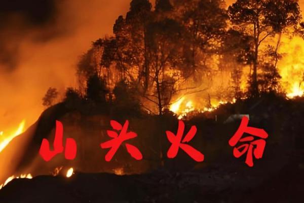 探秘山头火命的前世与未来,寻找内心的光辉 探秘山头火命的前世与未来,寻找内心的光辉