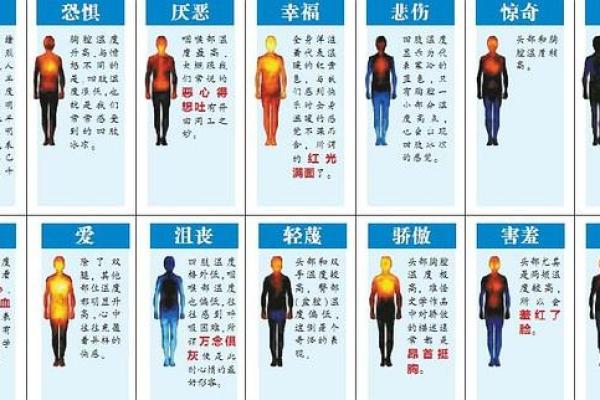 父子同明:金命命理的深奥关系与智慧 父子同明:金命命理的深奥关系与智慧