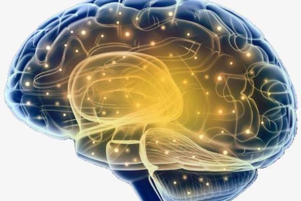 探索戊戍己未庚申命运之谜,解锁人生的奥秘与智慧 探索戊戍己未庚申命运之谜,解锁人生的奥秘与智慧