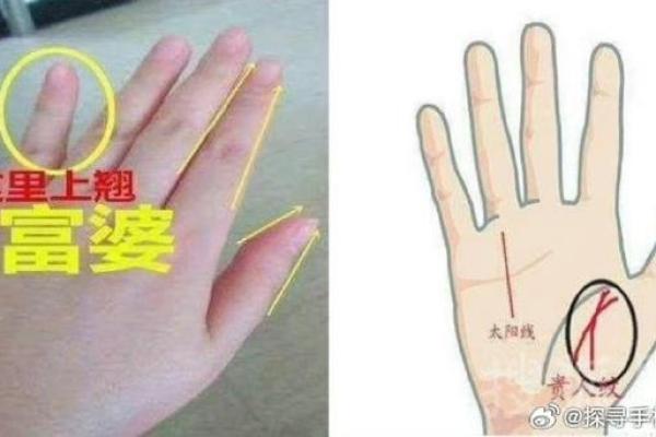 手相揭秘:这些特征暗示你并非读书的命! 手相揭秘:这些特征暗示你并非读书的命!
