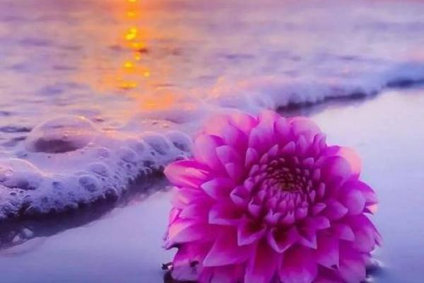 命由天定,宿命与自由意志的哲学探讨 命由天定,宿命与自由意志的哲学探讨