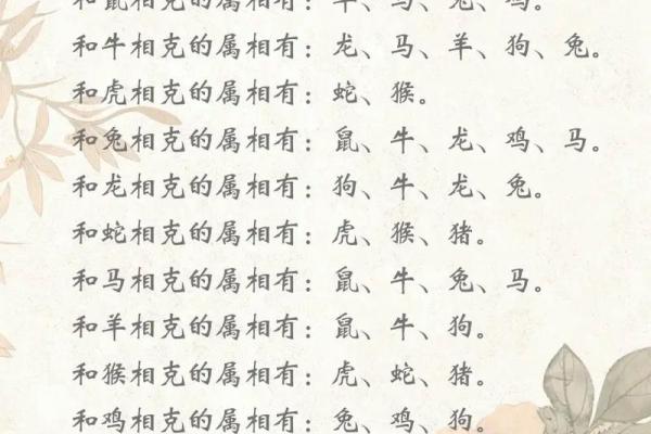 2040年属什么生肖?解密属龙人的命运与人生 2040年属什么生肖?解密属龙人的命运与人生