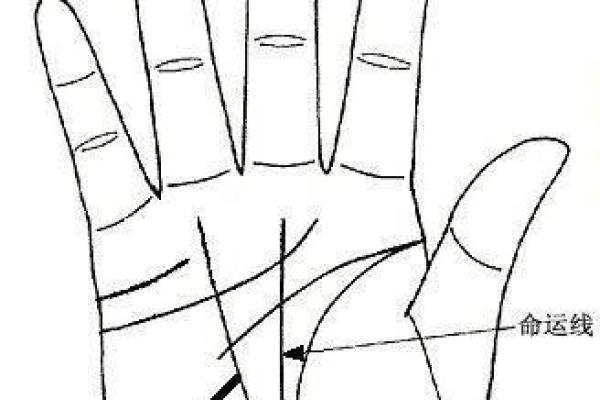 揭秘算命:哪种花的命运最好?探寻花与人生的奥秘 揭秘算命:哪种花的命运最好?探寻花与人生的奥秘