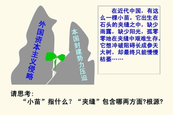 昆明的历史脉络:追溯这座城市的根源与命运 昆明的历史脉络:追溯这座城市的根源与命运