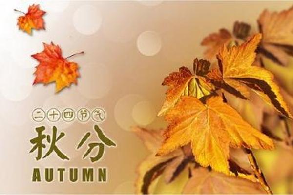 86年属虎女命格详解:解读她们的性格与命运之旅 86年属虎女命格详解:解读她们的性格与命运之旅