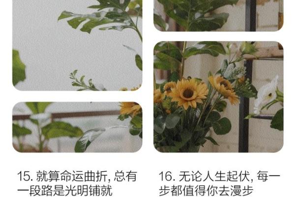 命运的奇妙:在无用与有用之间寻找人生的意义 命运的奇妙:在无用与有用之间寻找人生的意义