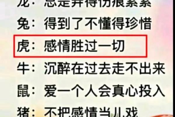2002年出生的人命运解析:命中注定的特质与未来运势 2002年出生的人命运解析:命中注定的特质与未来运势