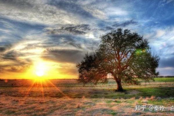 阴历腊月三十出生的人,命运与个性如何?探讨他们的人生轨迹与灵性魅力! 阴历腊月三十出生的人,命运与个性如何?探讨他们的人生轨迹与灵性魅力!