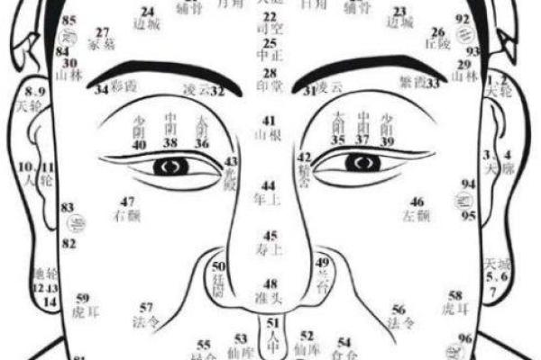 黑白相间:命运与面相的奥秘探讨 黑白相间:命运与面相的奥秘探讨