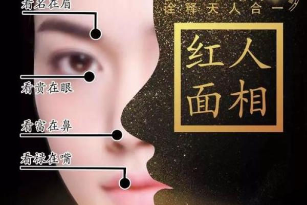 黑白相间:命运与面相的奥秘探讨 黑白相间:命运与面相的奥秘探讨