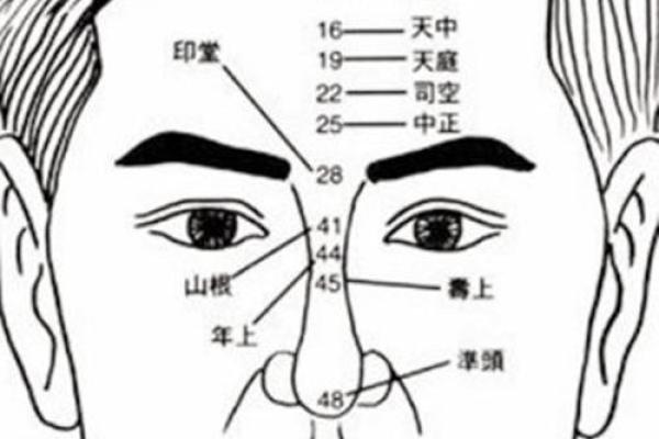 男人门牙大的命运解析:从面相看人生轨迹与性格特征 男人门牙大的命运解析:从面相看人生轨迹与性格特征