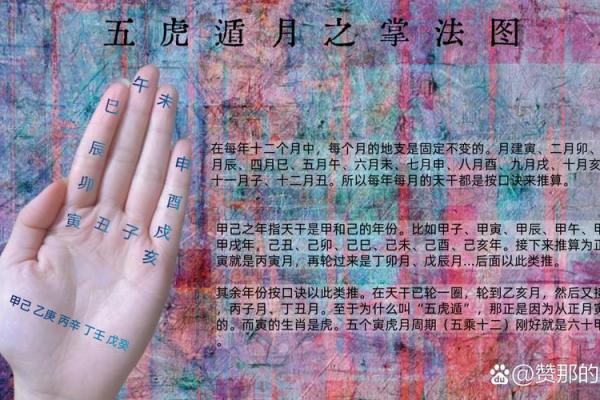 生肖虎11月运势揭秘:这个月的命运轨迹揭晓! 生肖虎11月运势揭秘:这个月的命运轨迹揭晓!