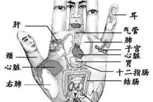2020冬月的命运密码:解读冬季出生者的性格与人生轨迹 2020冬月的命运密码:解读冬季出生者的性格与人生轨迹