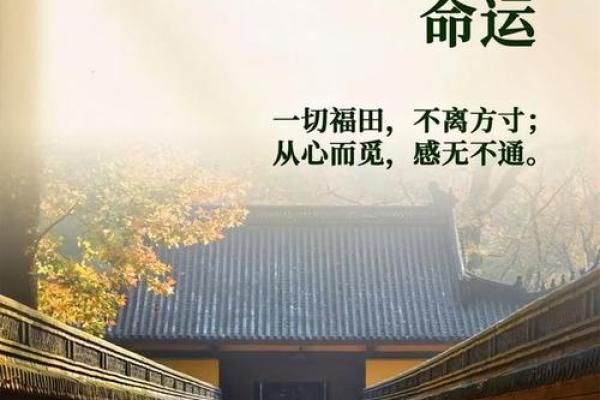 90年出生的人是金命人还是木命?揭秘命运的奥秘! 90年出生的人是金命人还是木命?揭秘命运的奥秘!