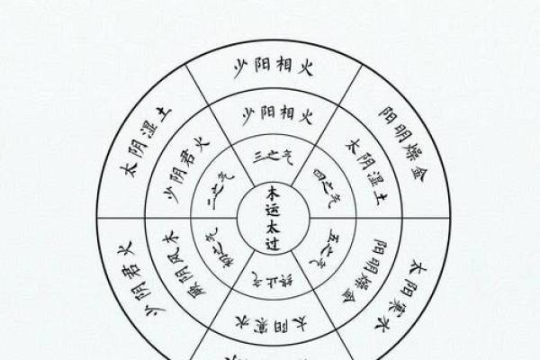 了解50年属相的人生格局与命运特点 了解50年属相的人生格局与命运特点