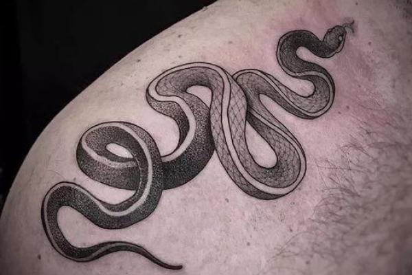 巳时出生的蛇:命运与性格的奇妙解析 巳时出生的蛇:命运与性格的奇妙解析