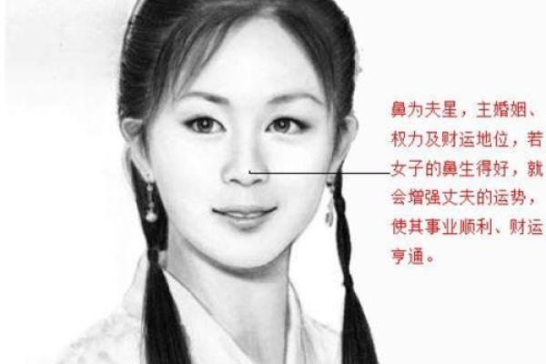 探秘闰年阴历出生的命运:如何解读你的命理与运势 探秘闰年阴历出生的命运:如何解读你的命理与运势