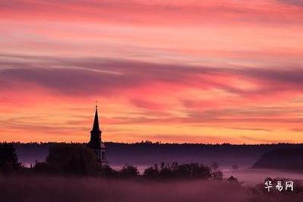 探索森林木命:命运与性格的奥秘解读 探索森林木命:命运与性格的奥秘解读
