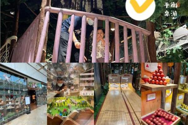 探索森林木命:命运与性格的奥秘解读 探索森林木命:命运与性格的奥秘解读