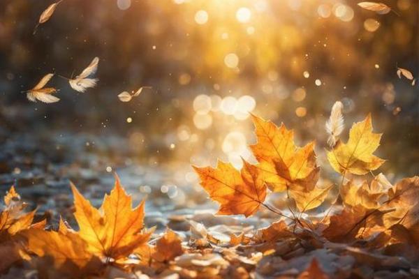 探秘火牛命格:性格特征与人生运势全解析 探秘火牛命格:性格特征与人生运势全解析