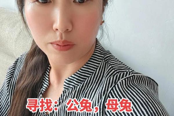 1975年出生的兔子:命运与性格的深度解析 1975年出生的兔子:命运与性格的深度解析