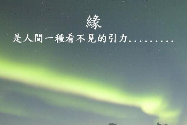 1997年的命运:揭秘火鼠年与人生的奇妙联系 1997年的命运:揭秘火鼠年与人生的奇妙联系