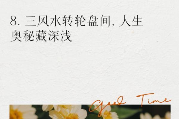 探寻“因命余记之”的命运奥秘:命运与选择的交织之旅 探寻“因命余记之”的命运奥秘:命运与选择的交织之旅