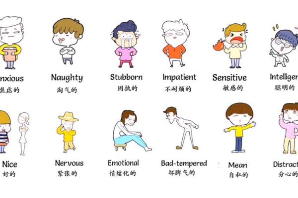 65年出生的人属什么?探索他们的命运与个性特征! 65年出生的人属什么?探索他们的命运与个性特征!