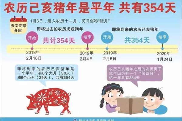 己亥年出生的猪年命,五行解析与命运运势的深度解读 己亥年出生的猪年命,五行解析与命运运势的深度解读