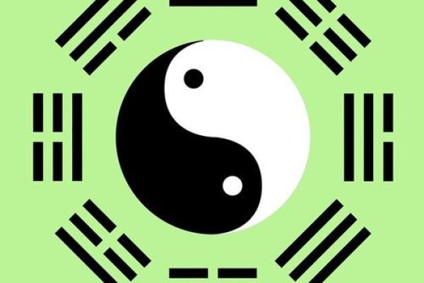 水命与木命的车牌号选择:如何为你的爱车增添吉祥气息 水命与木命的车牌号选择:如何为你的爱车增添吉祥气息