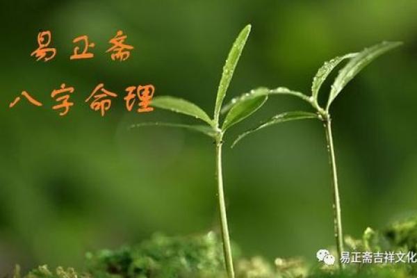 命理之路:为何命理师必须认师傅的重要性 命理之路:为何命理师必须认师傅的重要性