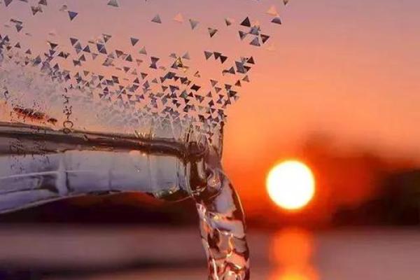 1967年命格分析:探索火鸡年人的独特人生轨迹与潜能 1967年命格分析:探索火鸡年人的独特人生轨迹与潜能