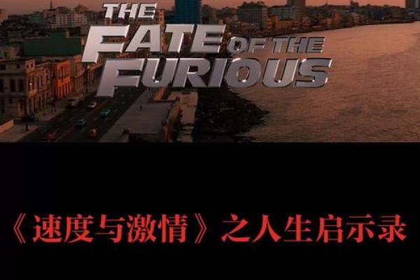 探寻“什么命一”的深意与人生启示 探寻“什么命一”的深意与人生启示