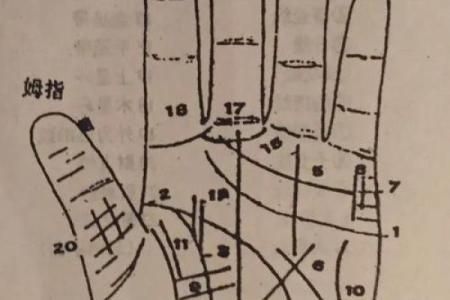 看你的手指，很可能揭示你的人生命运和性格特征！