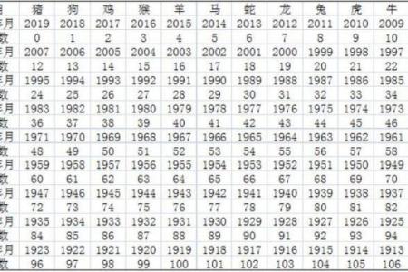 一九九九年兔人命运解析：揭开命理的神秘面纱与人生启示