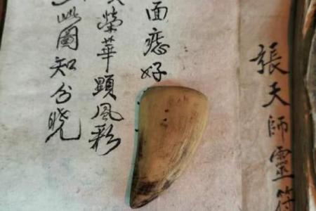 解密流年面相：男命中的命运之轮与运势变化