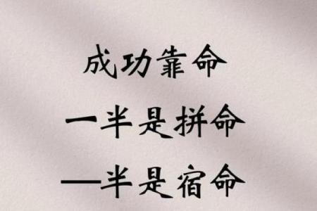 命由天定，宿命与自由意志的哲学探讨