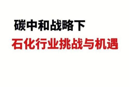 探讨属牛人巳时命运，揭示生活中的机遇与挑战