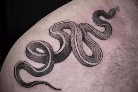 巳时出生的蛇：命运与性格的奇妙解析