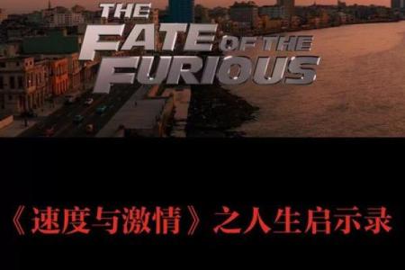 探寻“什么命一”的深意与人生启示